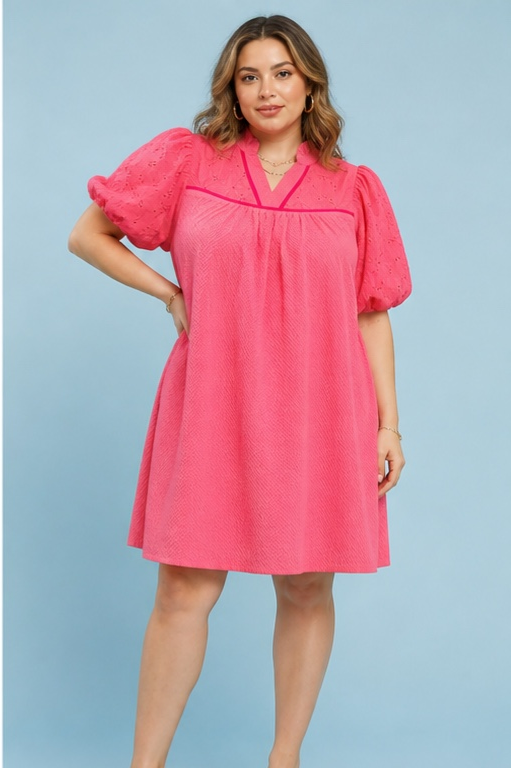 Blush Charm Puff Sleeve Textured Dress