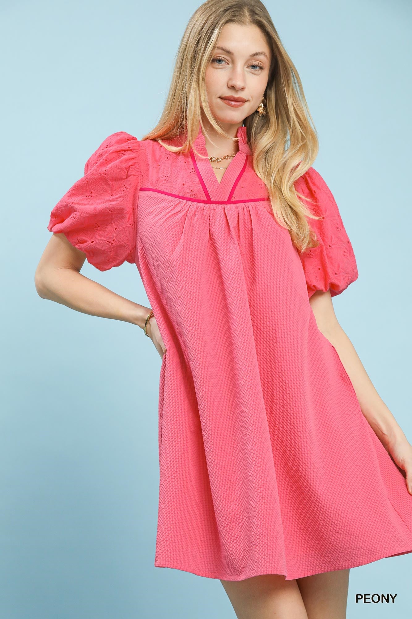 Blush Charm Puff Sleeve Textured Dress