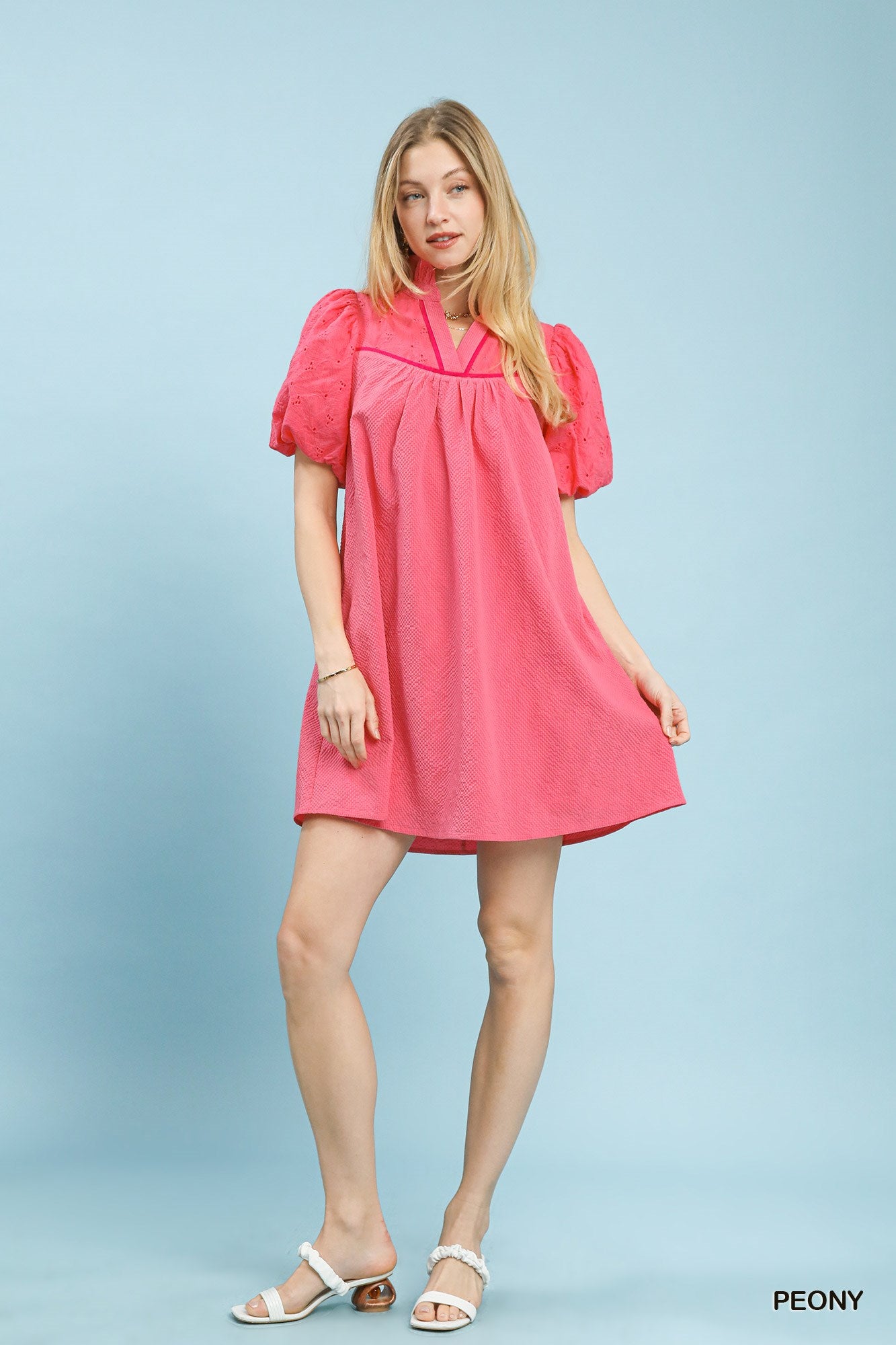 Blush Charm Puff Sleeve Textured Dress